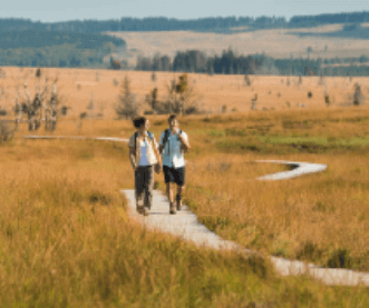 Walk - Waimes Hautes Fagnes - photo 9